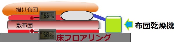 布団乾燥機でダニを焼きつくす方法 これでダメなら布団乾燥機は買うな